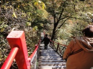 小中大滝への階段