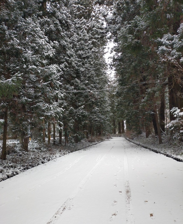 日光市2月8日朝