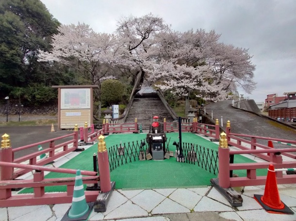 宇都宮赤門慈光寺の桜3月29日 宇都宮赤門慈光寺の桜3月29日