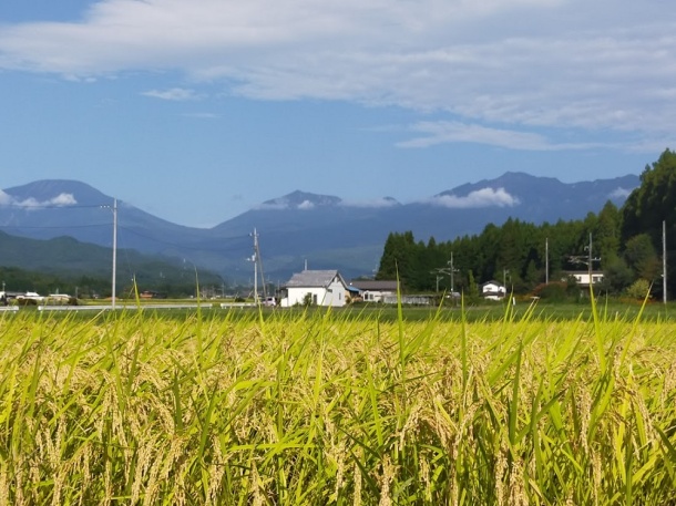 日光山の秋