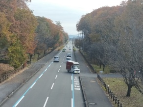 だいや川公園にて