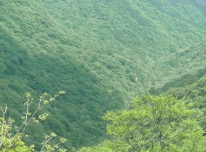 六方沢（戊辰の道）